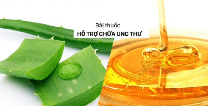 Cây lô hội