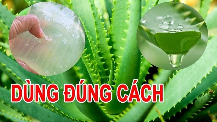 Lưu ý quan trọng khi sử dụng để chữa bệnh