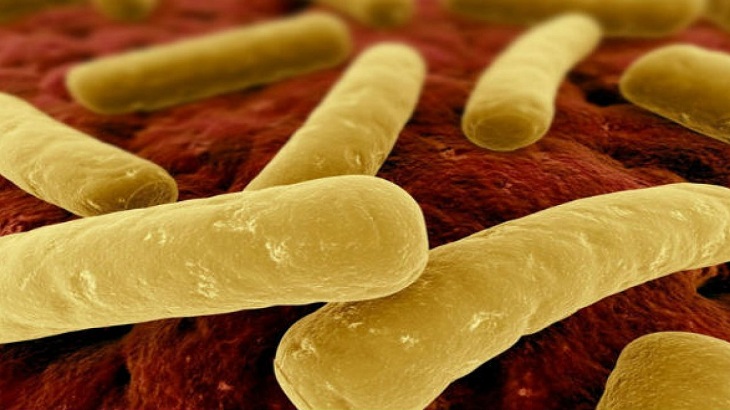 Vi khuẩn C. difficile gây ra tình trạng đại tràng bị viêm giả mạc