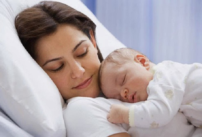 Đinh lăng có nhiều tác dụng tuyệt vời đối với phụ nữ sau sinh 
