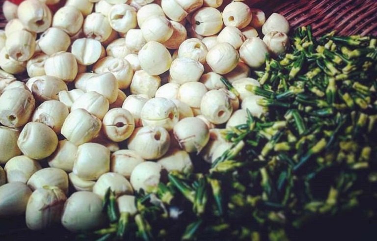 tâm sen chữa mất ngủ