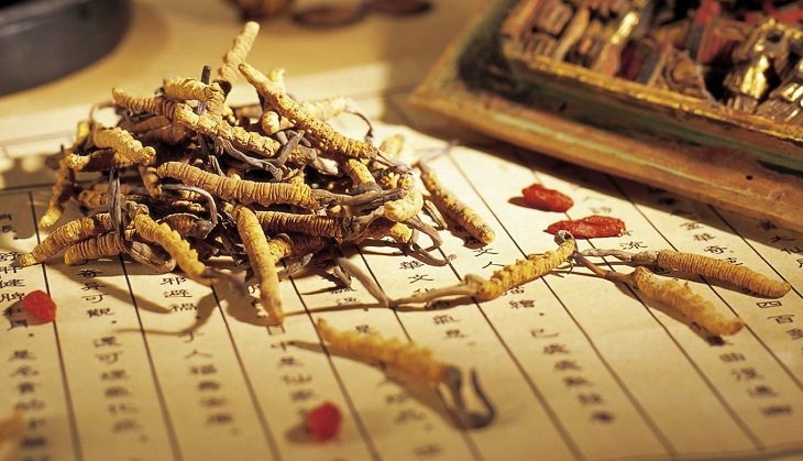 Bài thuốc chữa ho bằng Đông y kết hợp nhiều thảo dược quý Bài thuốc chữa ho bằng Đông y kết hợp nhiều thảo dược quý