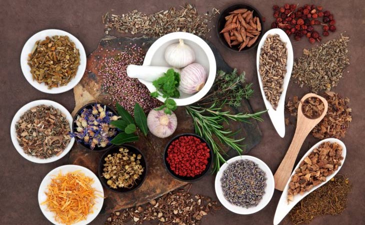 Đông y trị bệnh nhấn mạnh vào việc điều hòa cân bằng nội tại và tăng cường sức đề kháng