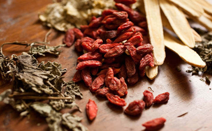 Các thảo dược phổ biến trong bài thuốc viêm amidan thể nhẹ Phương pháp Đông y điều trị dứt điểm, an toàn không có tác dụng phụ