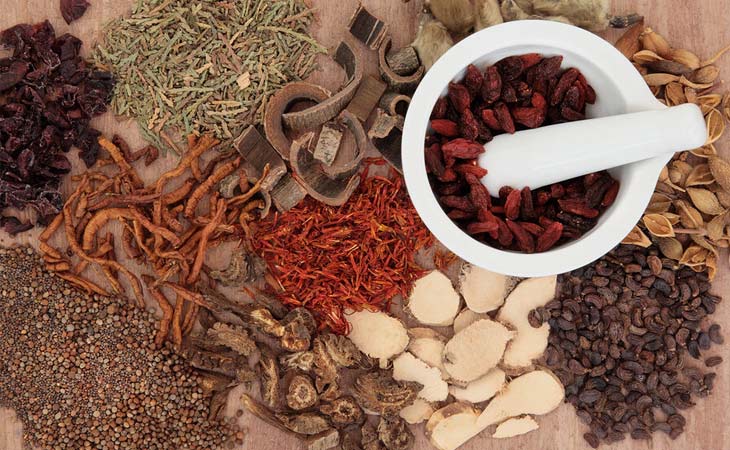 Bài thuốc trị viêm họng được tin dùng hiện nay Những dược liệu có trong bài thuốc trị tỳ hư can