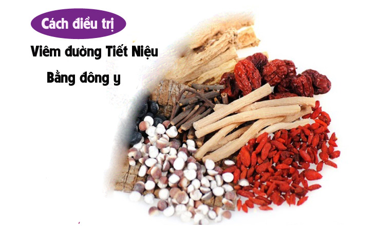 Chữa viêm đường tiết niệu bằng Đông y hiệu quả, an toàn Chữa viêm đường tiết niệu bằng Đông y hiệu quả, an toàn