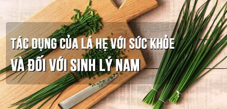 Chữa yếu sinh lý bằng lá hẹ là cách hay, an toàn cho nam giới
