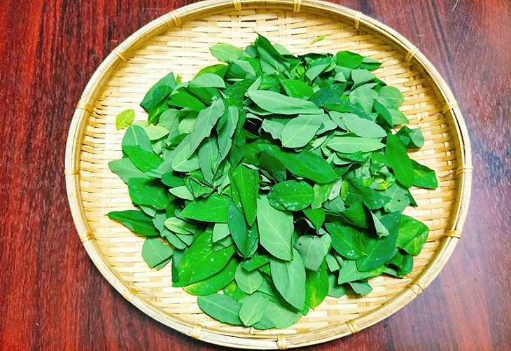 Những lưu ý khi dùng rau ngót điều trị yếu sinh lý