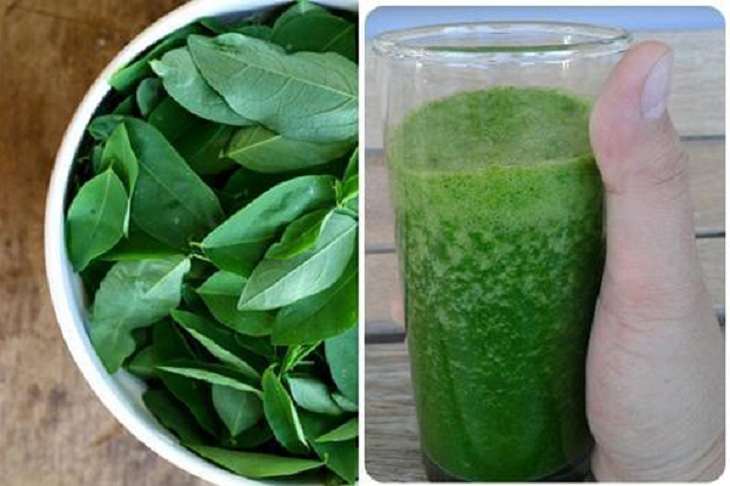 Nước ép rau ngót hỗ trợ điều trị yếu sinh lý