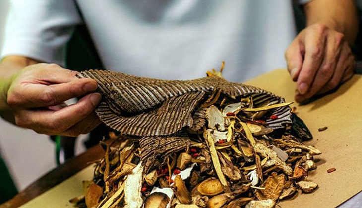 Bài thuốc đông y chữa xương khớp, cải thiện chức năng tạng phủ Bài thuốc đông y chữa xương khớp, cải thiện chức năng tạng phủ