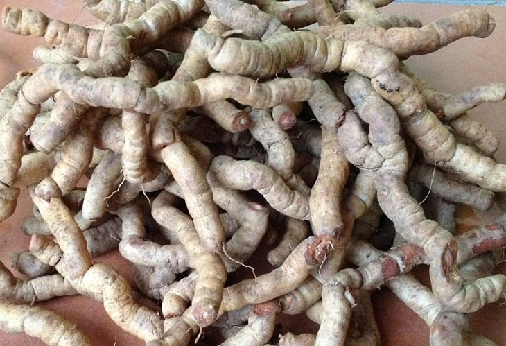 Củ Ba kích được nhiều người dùng để cải thiện “chuyện ấy” Củ Ba kích được nhiều người dùng để cải thiện “chuyện ấy”