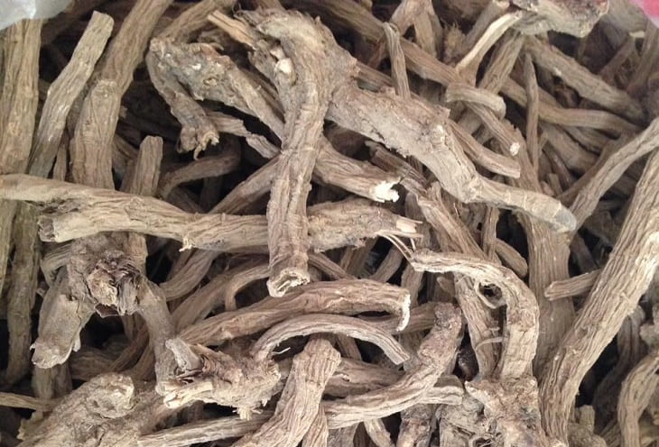 Cây Tục Đoạn đã phơi khô Cây Tục Đoạn đã phơi khô