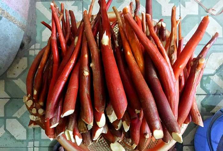 Uống nước rễ cau cải thiện tốt triệu chứng yếu sinh lý