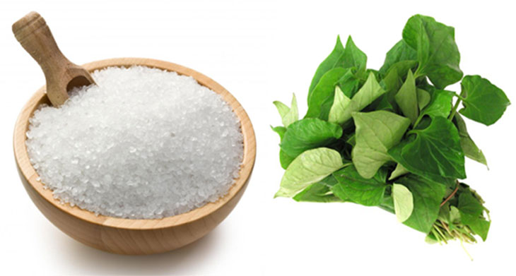 Rau diếp cá kết hợp với muối trắng