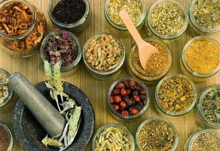 Ưu nhược điểm của chữa viêm đại tràng co thắt bằng thuốc nam Ưu nhược điểm của chữa viêm đại tràng co thắt bằng thuốc nam