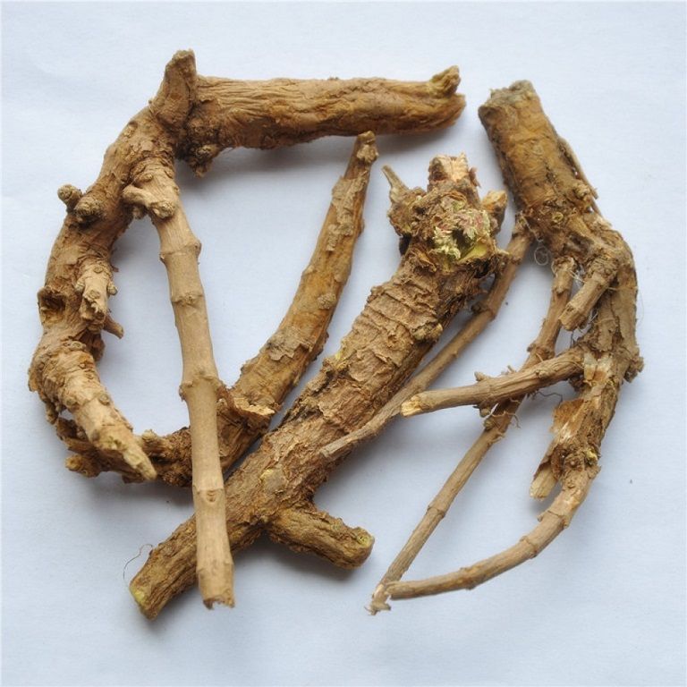 Hoàng cầm thang - Dược liệu không thể thiếu khi chữa bệnh viêm đại tràng bằng Đông y Hoàng cầm thang - Dược liệu không thể thiếu khi chữa bệnh viêm đại tràng bằng Đông y