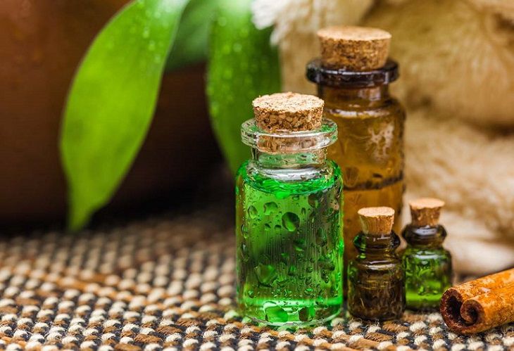 Tinh dầu tràm trà có tác dụng kháng viêm, chống nấm và trị ngứa hiệu quả
