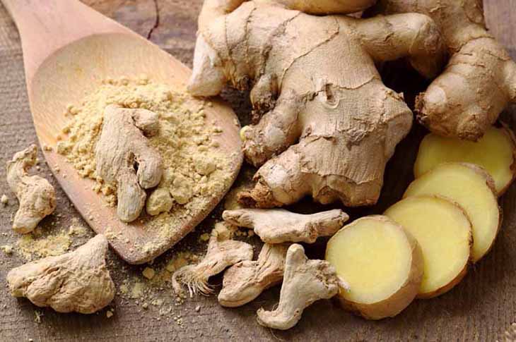 Gừng có khả năng cải thiện khả năng sinh lý hiệu quả