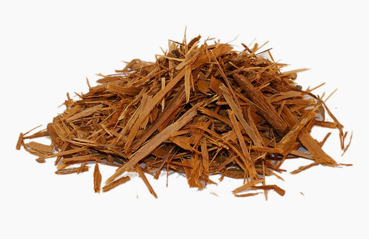 Yohimbe, một trong các thành phần của thuốc trị xuất tinh sớm Stimuloid Yohimbe, một trong các thành phần của thuốc trị xuất tinh sớm Stimuloid