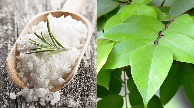 Cách trị mề đay bằng lá khế và muối biển giúp sát trùng, tiêu viêm, giảm ngứa