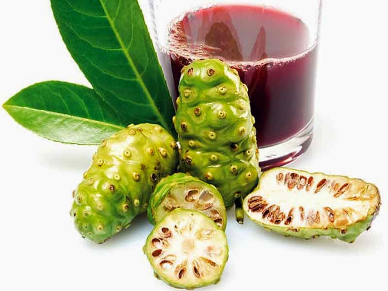 Trị mề đay mẩn ngứa bằng sự kết hợp giữa quả nhàu và rượu 
