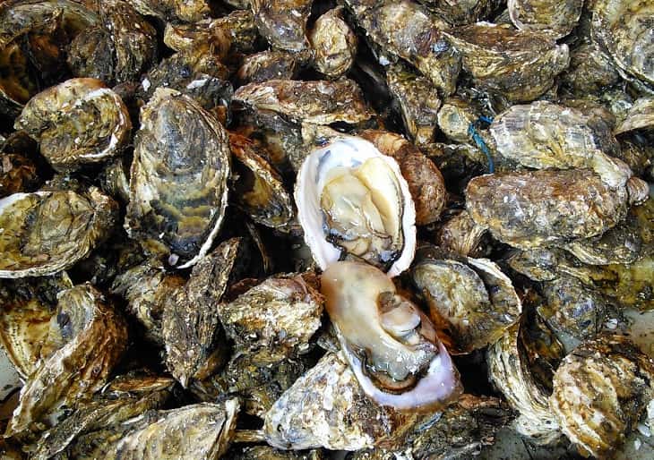 Đây là nguồng cung cấp kẽm và các protein, dưỡng chất rất tốt Đây là nguồng cung cấp kẽm và các protein, dưỡng chất rất tốt