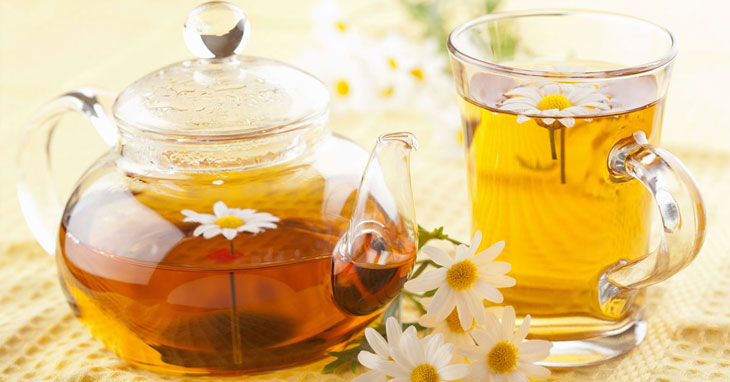 Trà hao cúc với nhiều công dụng tuyệt vời điều trị trào ngược