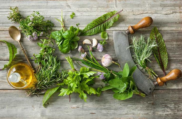 Một số bài thuốc nam trị mất ngủ phổ biến Bài thuốc nam trị mất ngủ