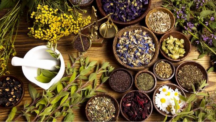 Thuốc Đông y chữa viêm hojnh nhạt nhanh, an toàn mà hiệu quả