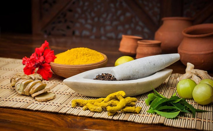 Cách chữa đau dạ dày bằng cây nhọ nồi kết hợp với các dược liệu khác