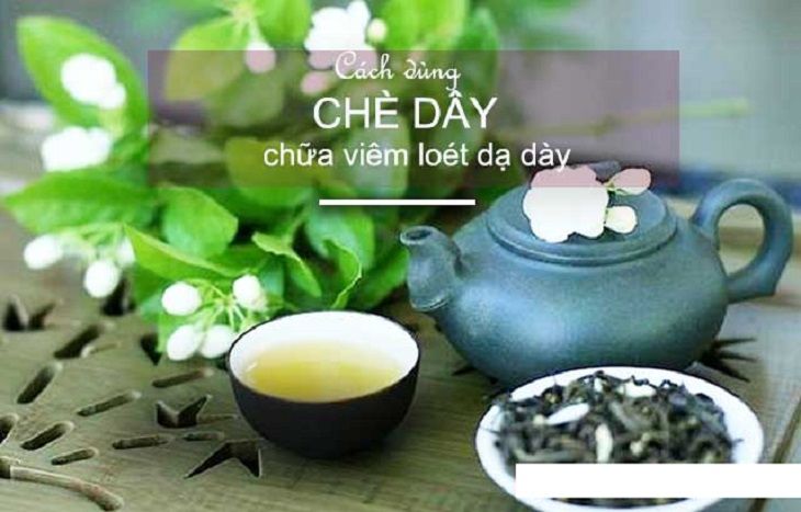 Bạn có thể pha nước chè dây để uống hằng ngày Bạn có thể pha nước chè dây để uống hằng ngày