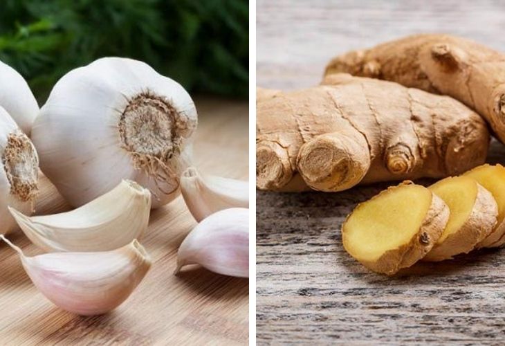 Chữa đau dạ dày bằng tỏi kết hợp với gừng