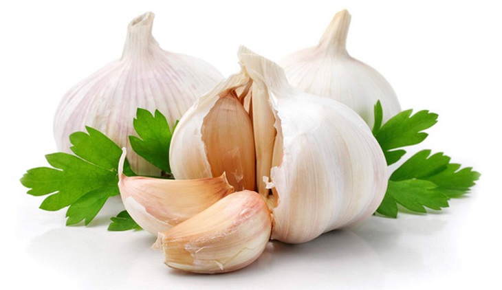 Chữa đau dạ dày bằng tỏi được nhiều bệnh nhân tin tưởng sử dụng