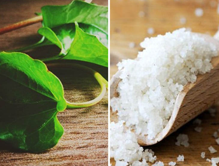 Bên cạnh diếp cá, muối ăn cũng là nguyên liệu có khả năng kháng viêm mạnh mẽ