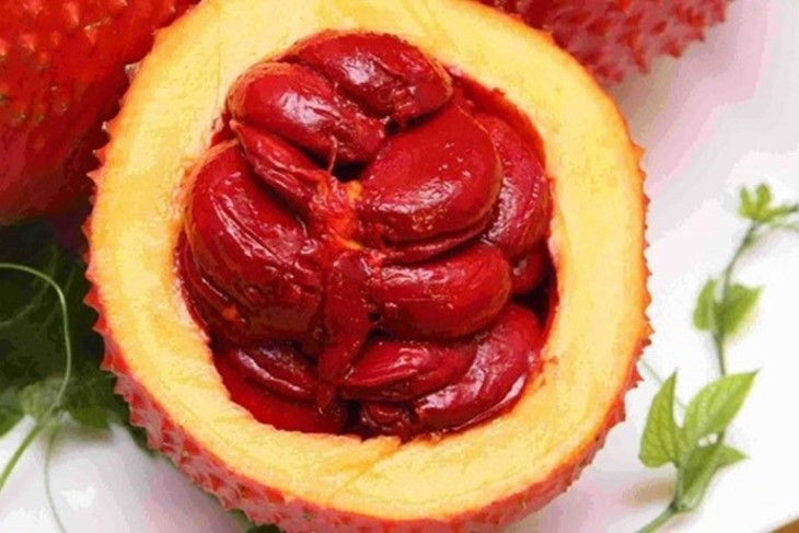 Gấc là loại thực phẩm bổ dưỡng, giàu vitamin đồng thời còn là vị thuốc trong Đông y