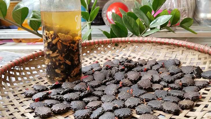 Rượu gấc chữa bệnh hiệu quả