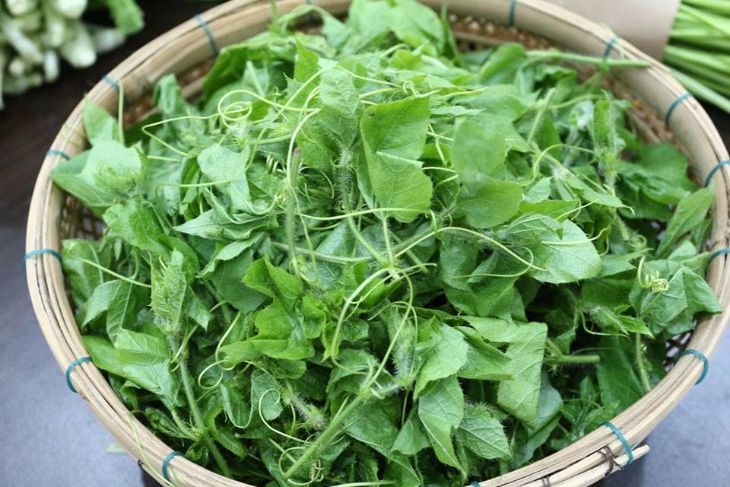 Lá cây lạc tiên có thể chế biến như rau xanh ăn hàng ngày