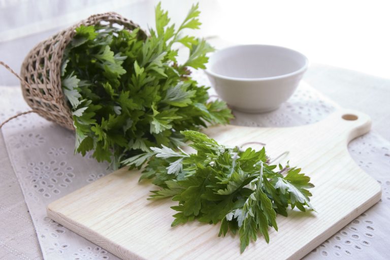 Ngải cứu và rượu trắng, sự kết hợp hoàn hảo giúp giảm đau xương khớp