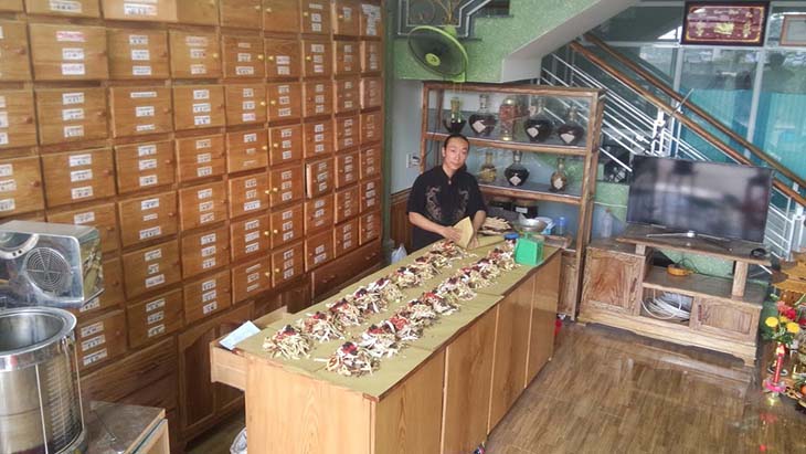 Phòng khám Đông y Phụ Tử Đường Phòng khám Đông y Phụ Tử Đường