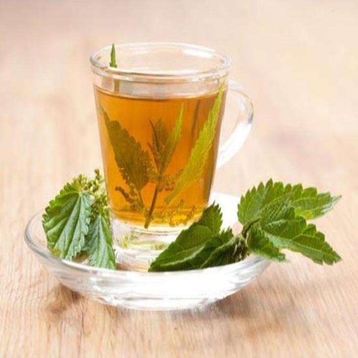 Tiêu viêm, thông khiếu, dịu cơn ngứa mũi, hắt hơi ở người bệnh 