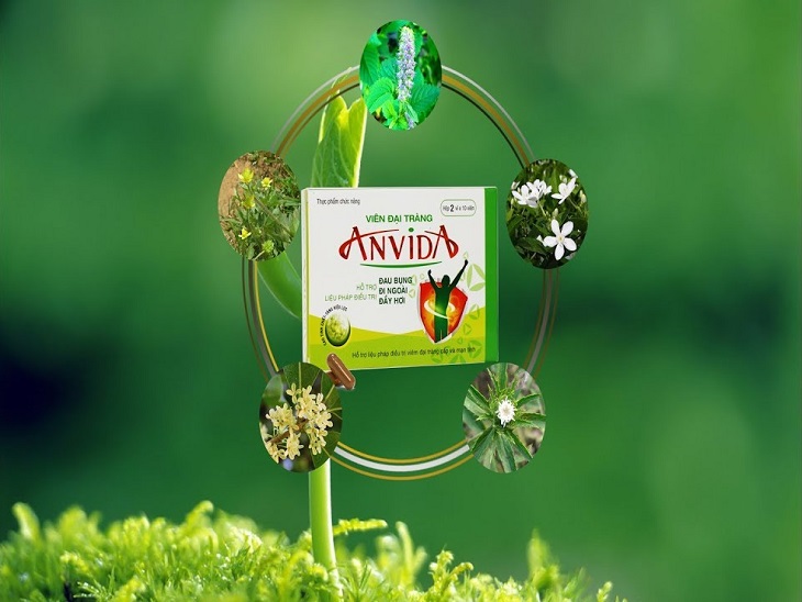 Anvida là thực phẩm chức năng Anvida là thực phẩm chức năng