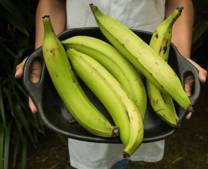 Mẹo chữa mất ngủ đơn giản bằng chuối xanh