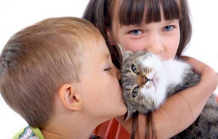 Lông động vật cũng là nguyên nhân gây viêm họng cấp ở trẻ