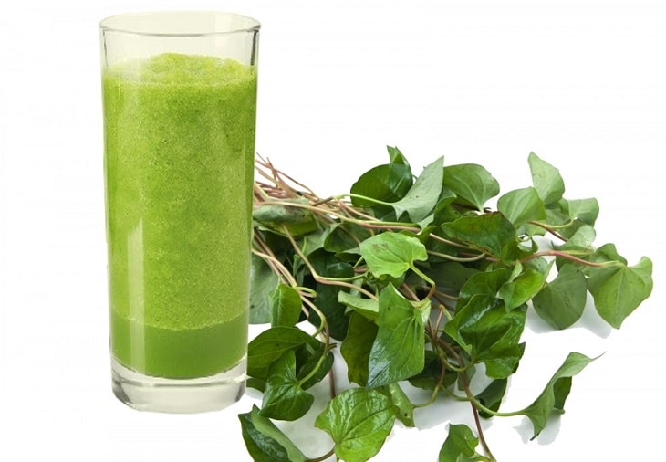 Lá diếp cá trị viêm tai giữa cấp ở trẻ nhỏ