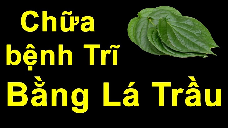 Cách chữa bệnh trĩ đơn giản tại nhà bằng lá trầu an toàn cho cả mẹ bầu