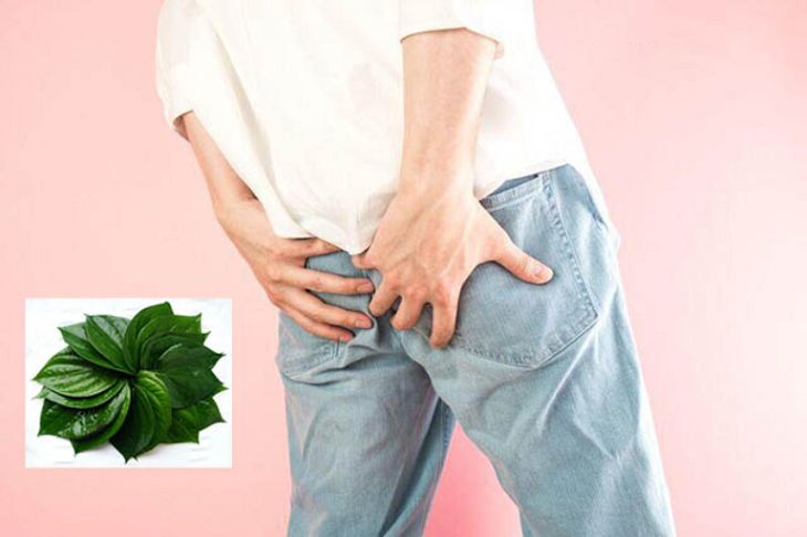 Chữa bệnh bằng lá trầu không chỉ có tác dụng đối với mức độ bệnh nhẹ