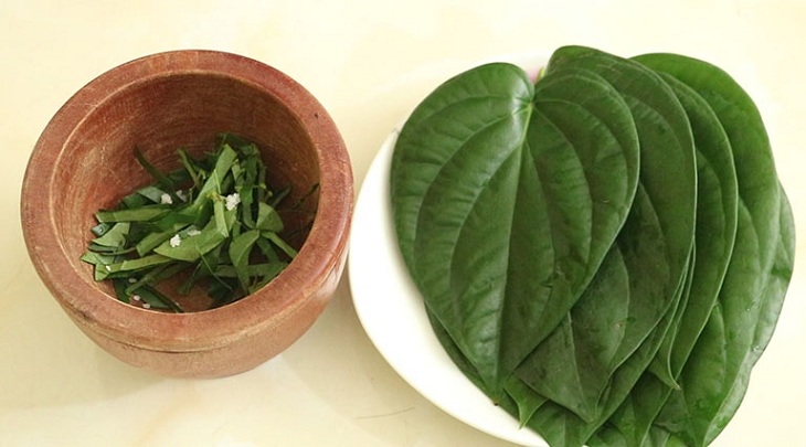 Đắp trực tiếp lá trầu không để trị bệnh trĩ