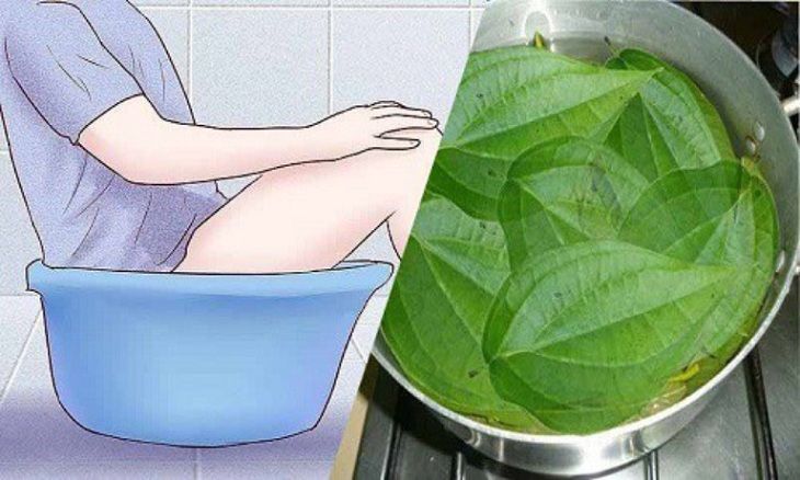 Ngâm rửa nước trầu không giúp giảm đau, giảm ngứa, sát khuẩn