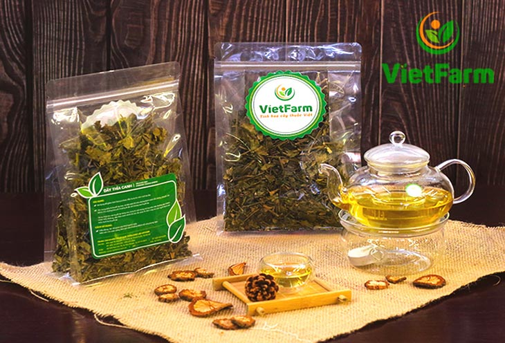 Dây thìa canh Vietfarm chất lượng cao đạt chuẩn GACP - WHO