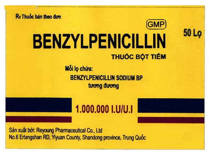 Thuốc kháng virus, vi khuẩn là một trong những nhóm thuốc được chỉ định để điều trị viêm phế quản